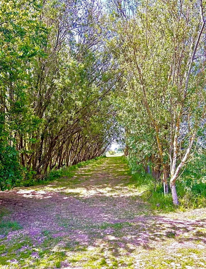 Lakeside Fishing Retreats