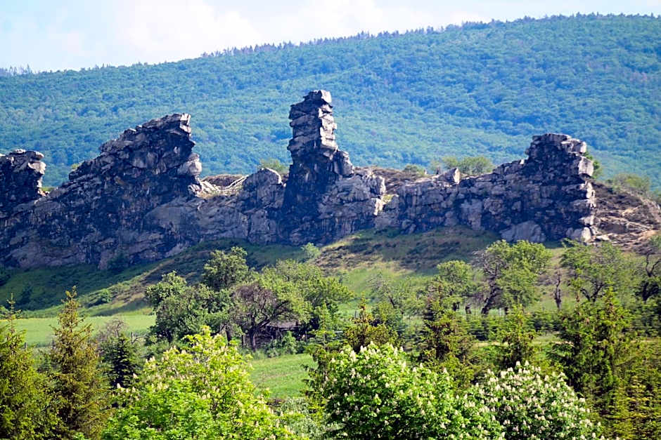 Harzhotel Warnstedter Krug