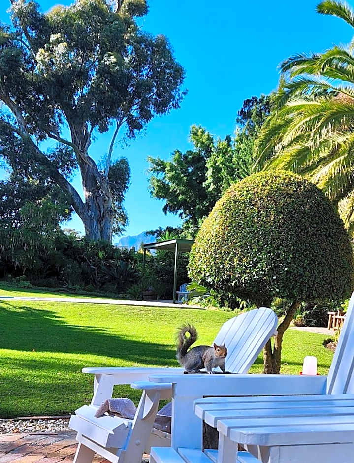 KaapsePracht Bed & Breakfast