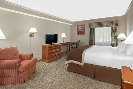 Queen Studio Suite - Non-Smoking