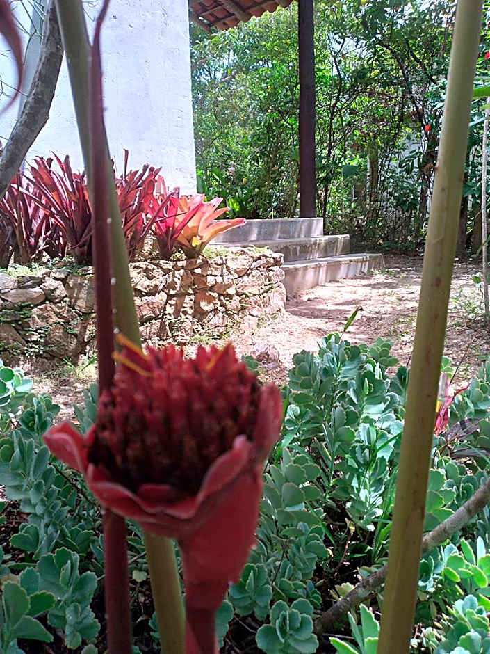 Pousada Do Pequi