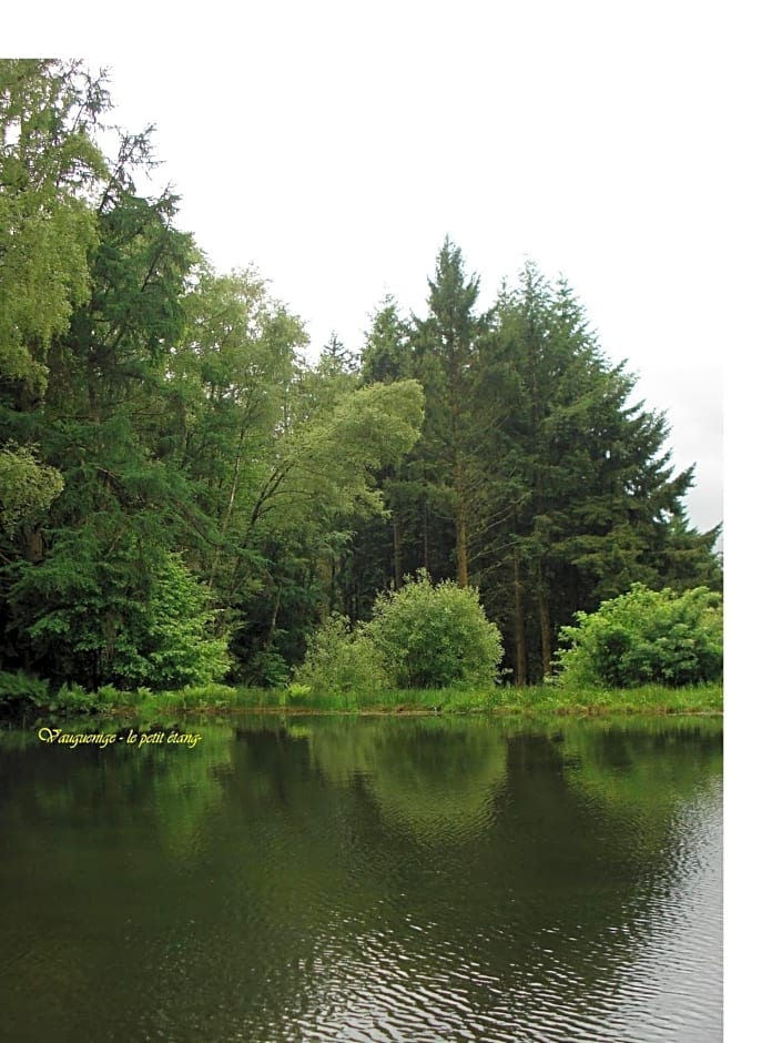 Chambre d’hôtes de Vauguenige
