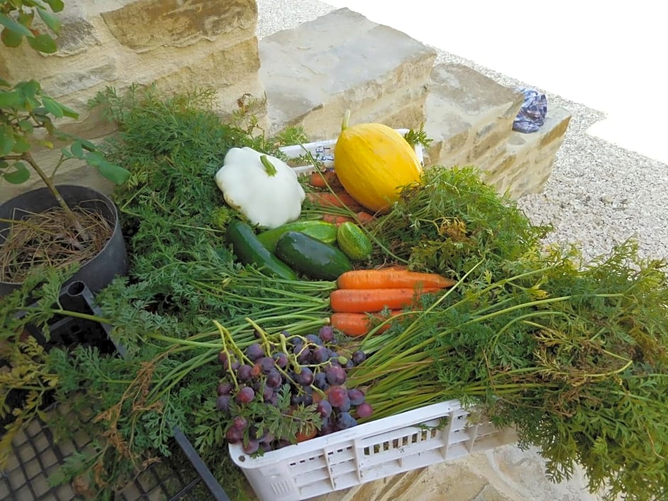 Agriturismo Terra Selvatica