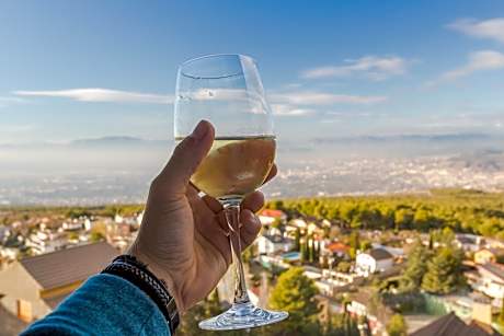 Superior Double Room with City View