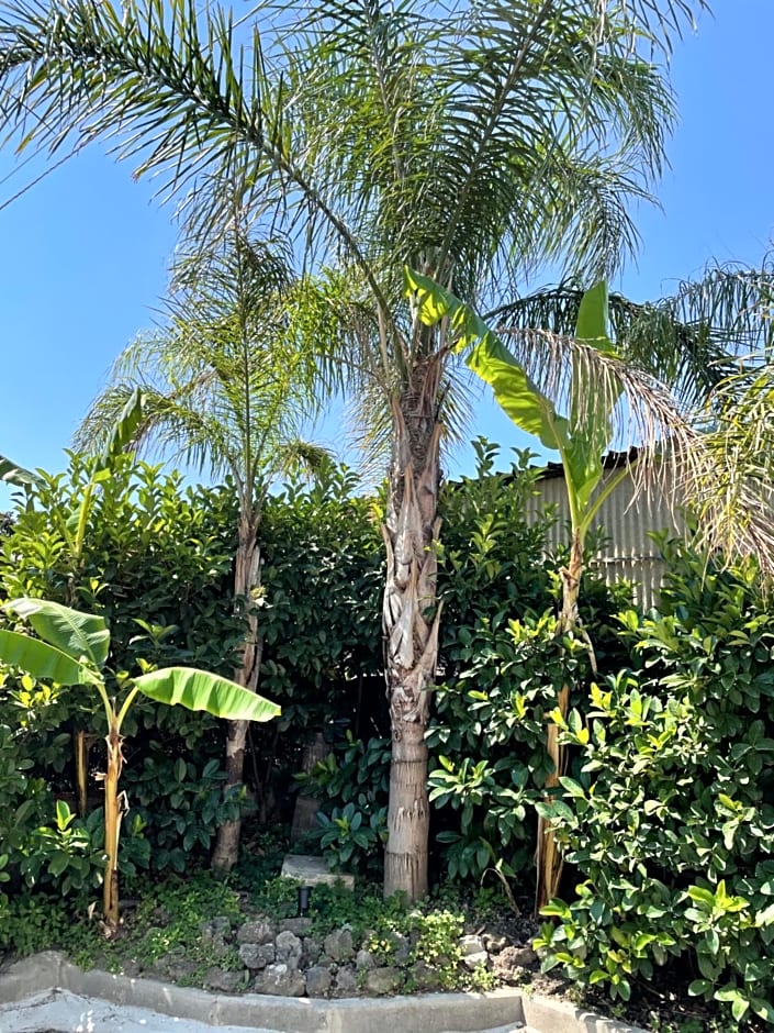 B&B PERNA Panoramic Rooms