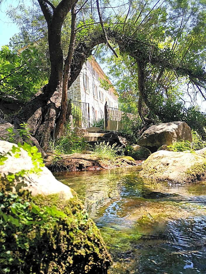 Le Moulin Camoula