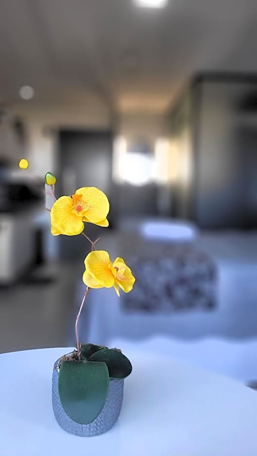 Studio with Balcony and Sea View