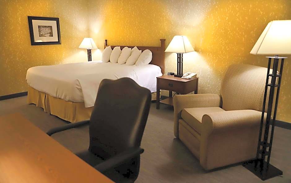 Best Western Branson Inn And Conference Center