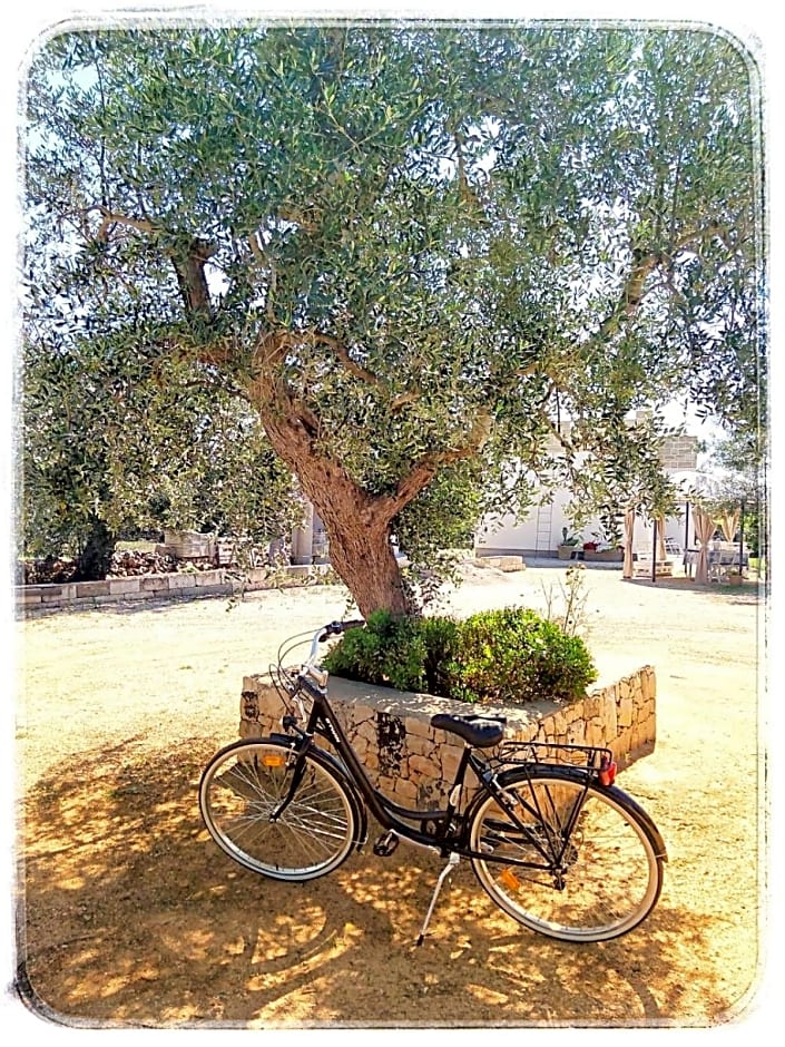 B & B Pietra Vecchia