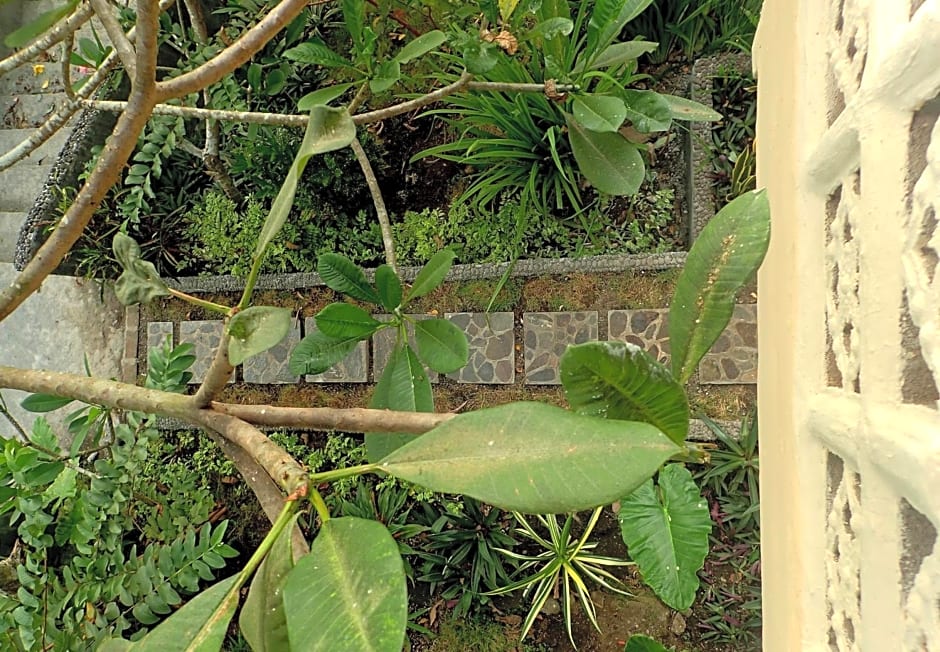 Tangkoko Sanctuary Villa