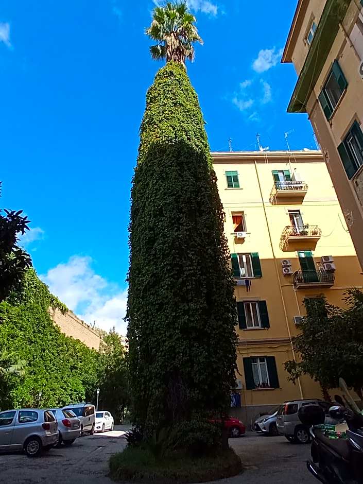 Non ci resta che Napoli