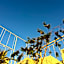 Riad Tizwa Fes