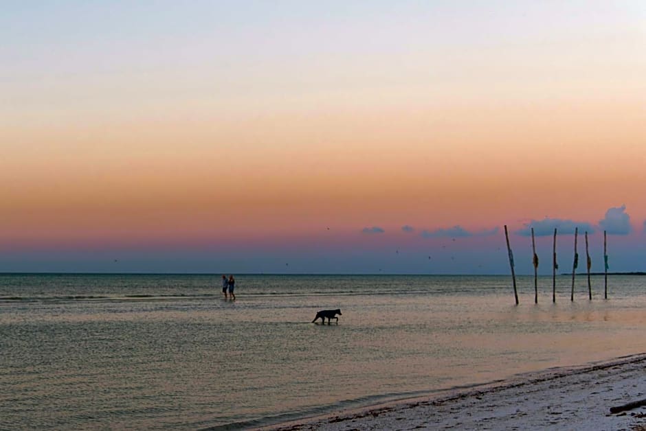 Blue Holbox