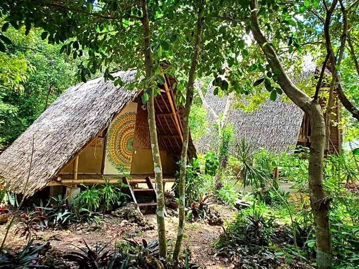 Lazy Lizard Hostel