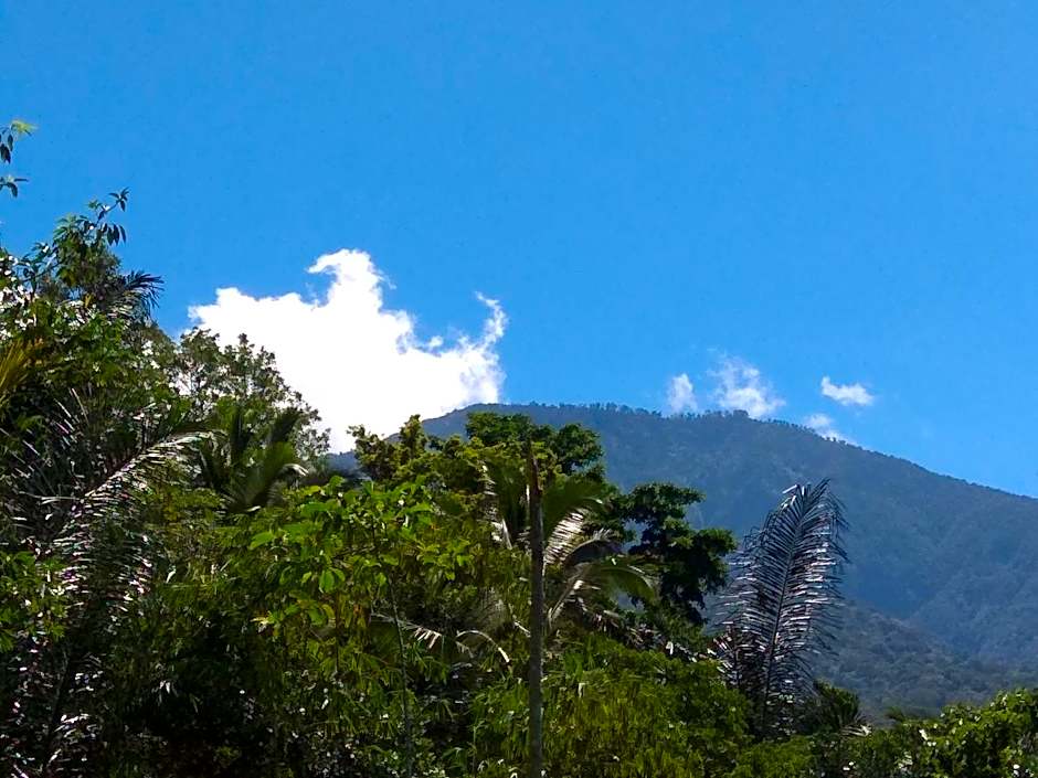Bali mountain forest cabin