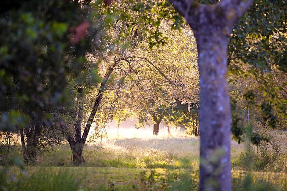 Château de la Verie