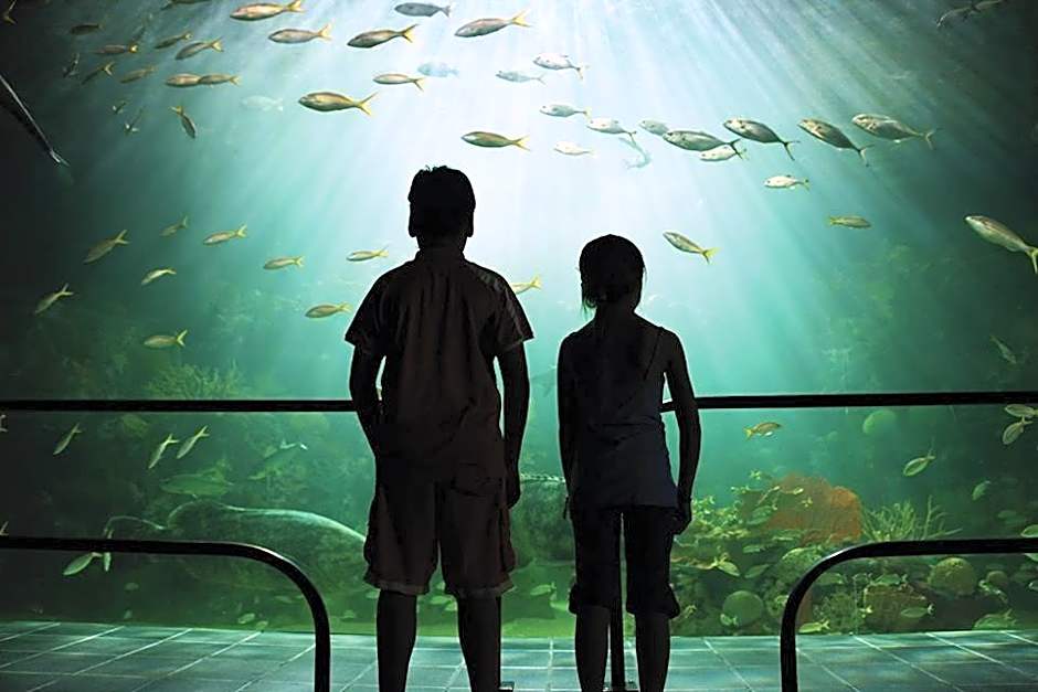 Hotel Posada del Carmen