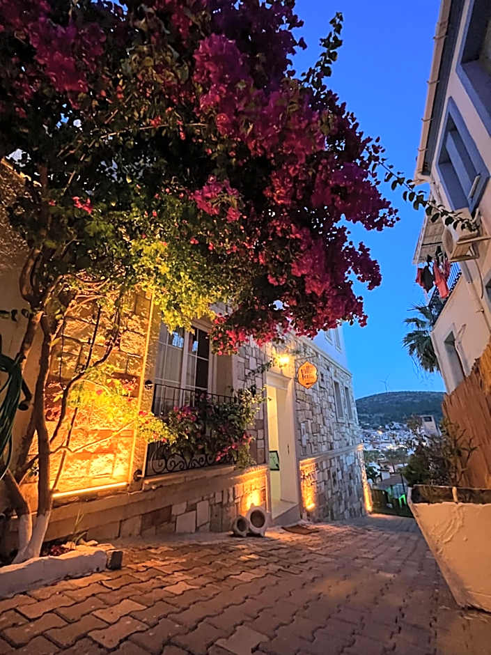 Villa Veria
