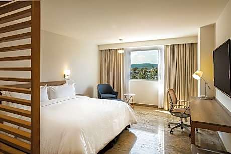 Superior Room, 1 King