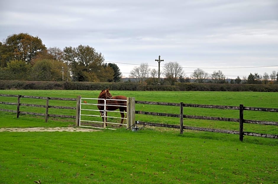 B&B Haras de la Cour Fleury