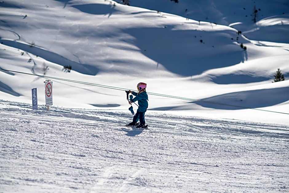Gjaid-Alm 1739m am Dachstein-Only Accessible by Cable Car