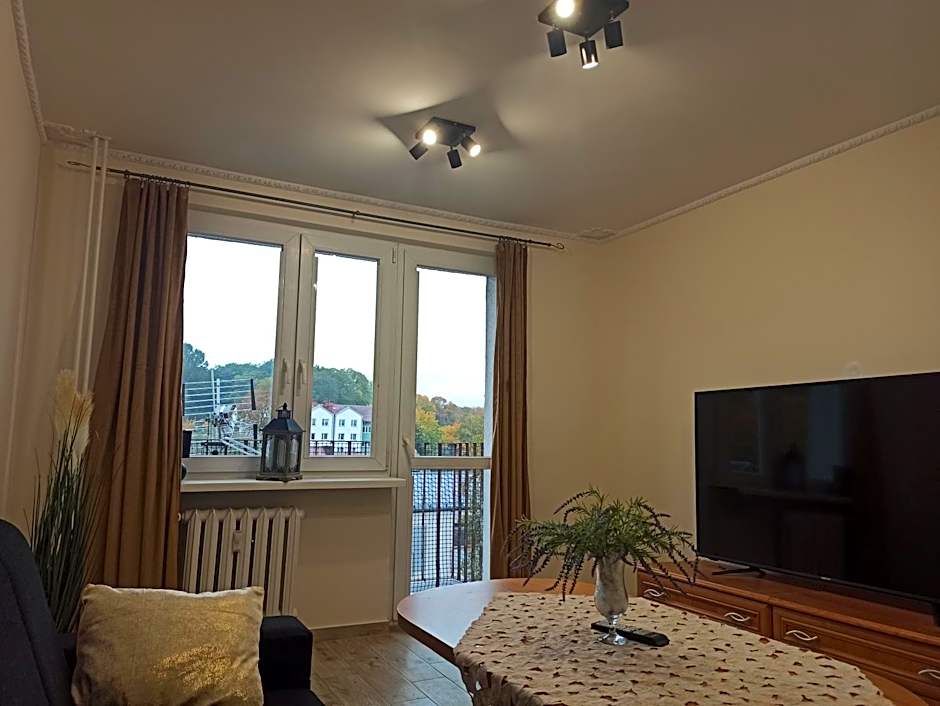 APARTAMENT CENTRUM Międzychód