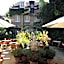 Hotel Botticelli