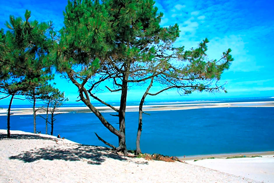 Holiday Inn Bordeaux Sud - Pessac by IHG