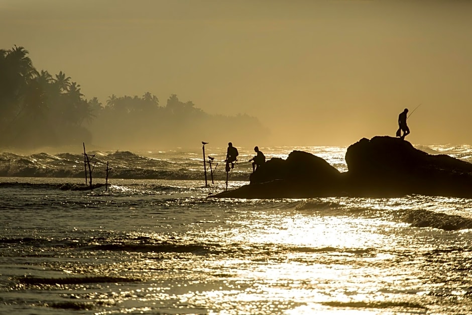 Owl And The Pussycat