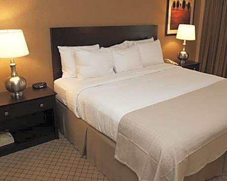 Queen Room - Disability Access with Roll In Shower /Non-Smoking