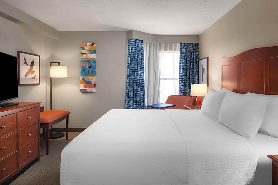 Hampton Inn By Hilton And Suites El Paso-Airport