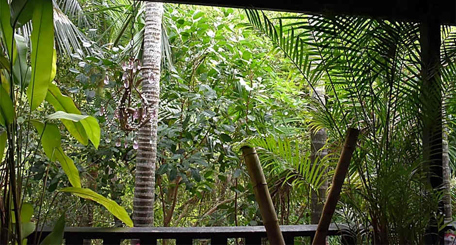 Oskar's Rain Forest Retreat