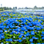 Kuwana Park Hotel - Vacation STAY 66818v