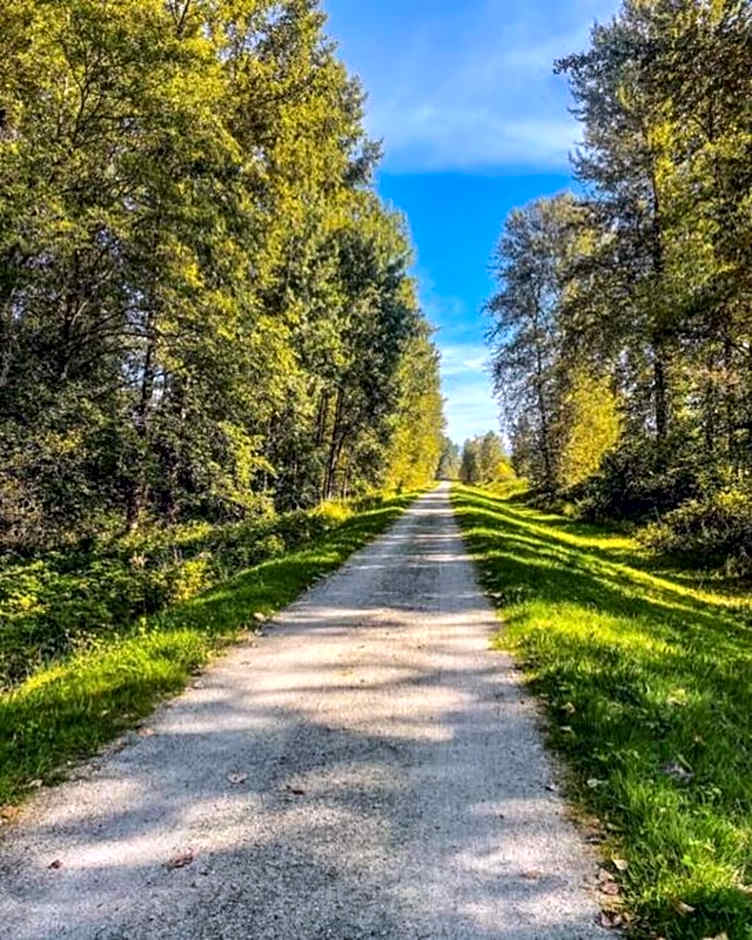 Quiet Area Near Downtown Walkable To Cafes