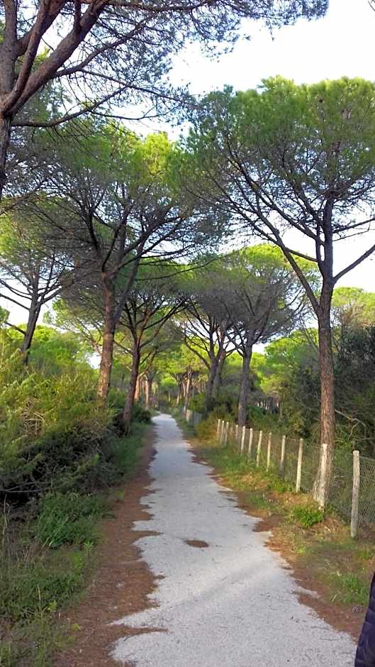Hotel B&B Rispescia Grosseto