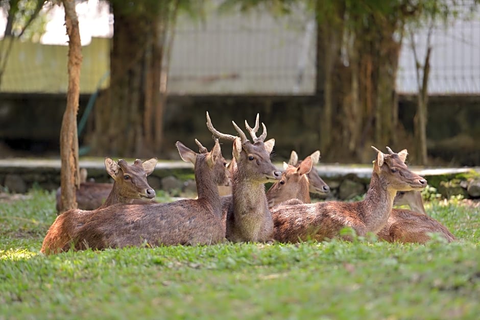 Griya Sakura Syariah near UMS