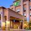 Holiday Inn Express & Suites Sioux City-South