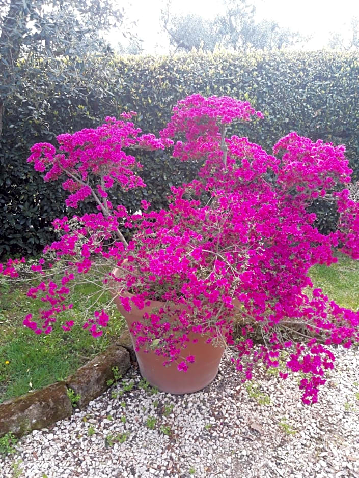 B&B Agriturismo La Casetta di Ben