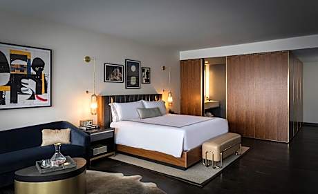 Premium 1 King Bed With Ada Tub