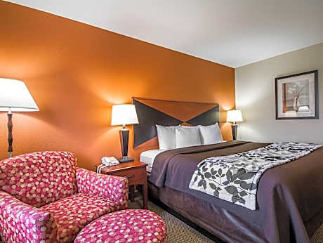 1 King Bed, Nonsmoking