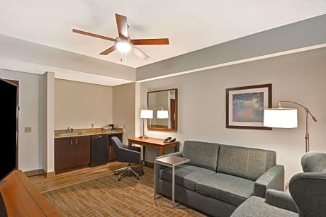 1 King Bed 1Bdrm Suite W/ Sofabed Nonsmoking