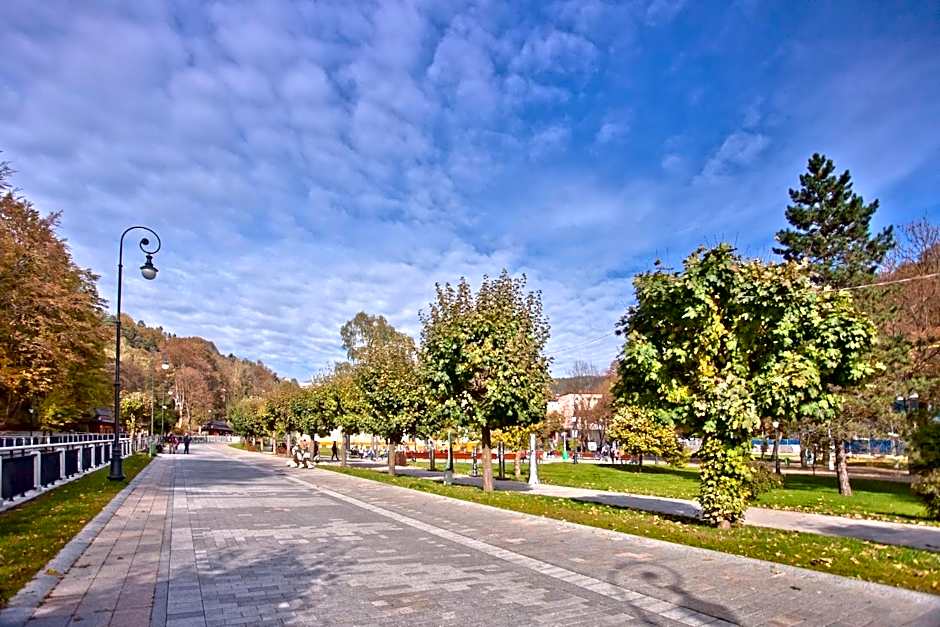 Piastun SPA&Wellness Krynica-Zdrój