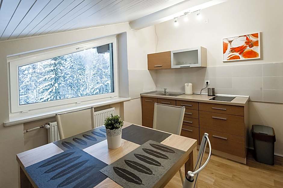 Apartamenty Pod Gondolą