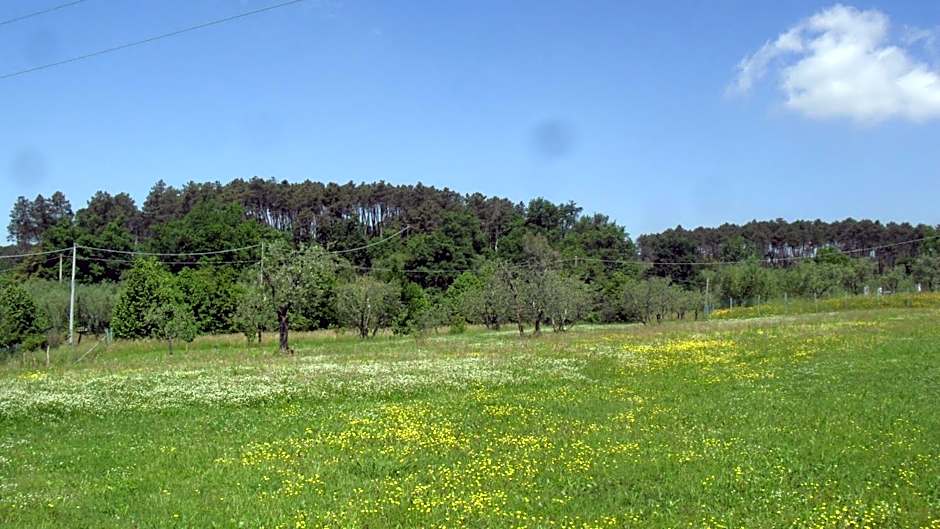Casa Fontanino