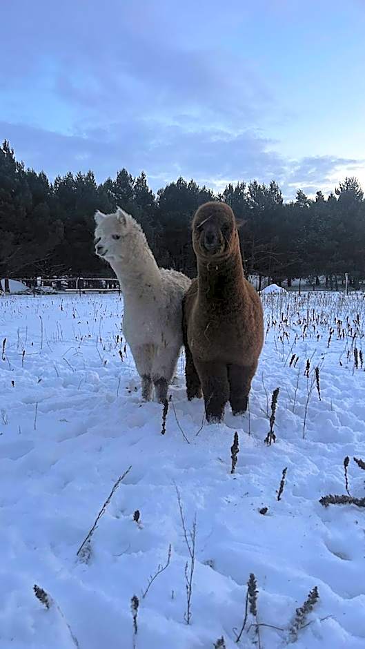 Ośrodek u Polaka-domek góralski