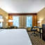 Quality Inn & Suites Windsor