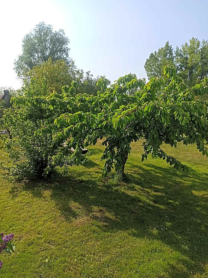 Zakątek Turysty