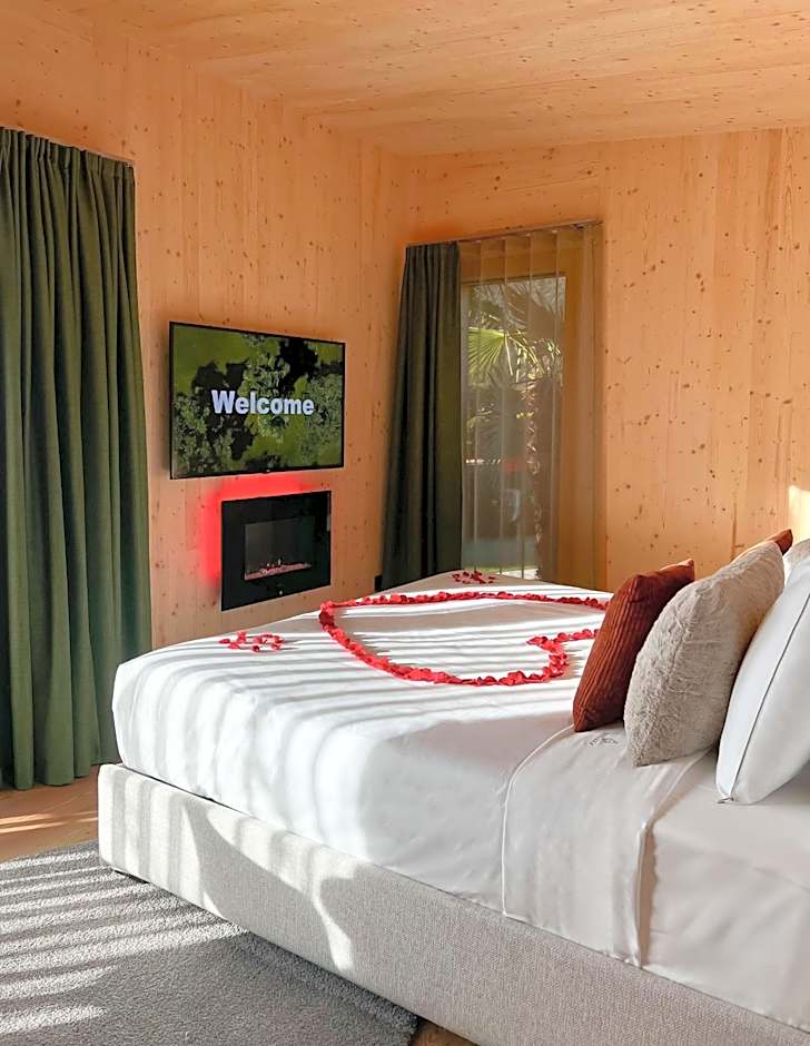 TreeLodgy, The Tree House