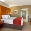 Comfort Suites Southpark