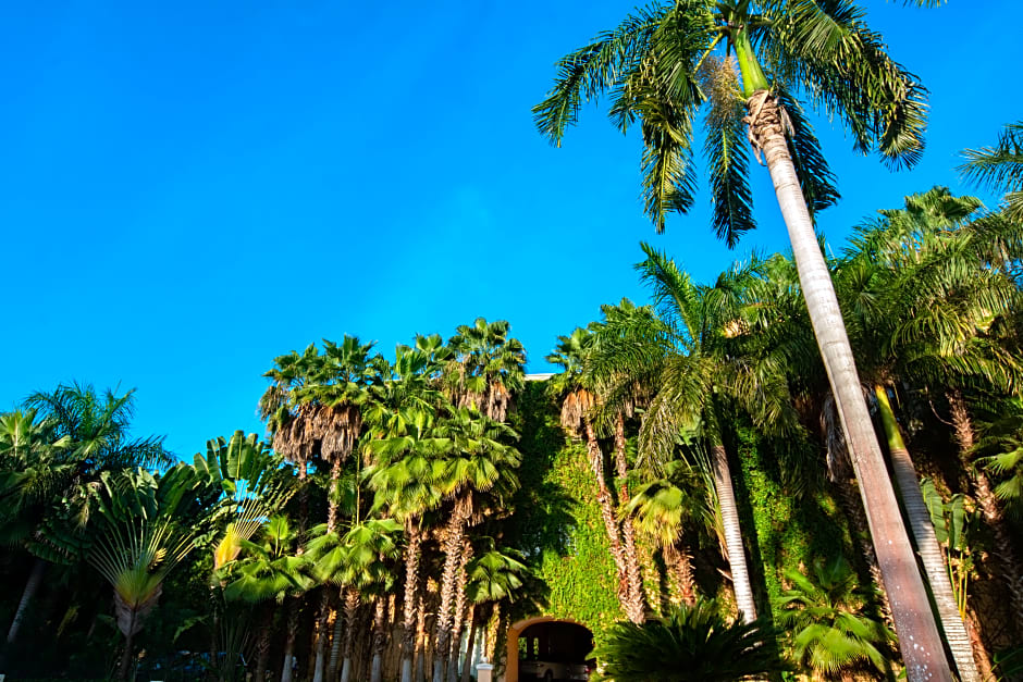 Hacienda Tres Rios Resort Spa & Nature Park - All Inclusive